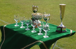 Cornwall Croquet - some of the Trophies 2006
