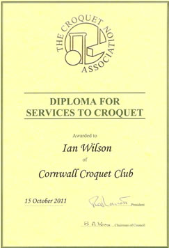 CA Diploma 2011